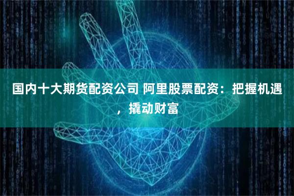 国内十大期货配资公司 阿里股票配资：把握机遇，撬动财富