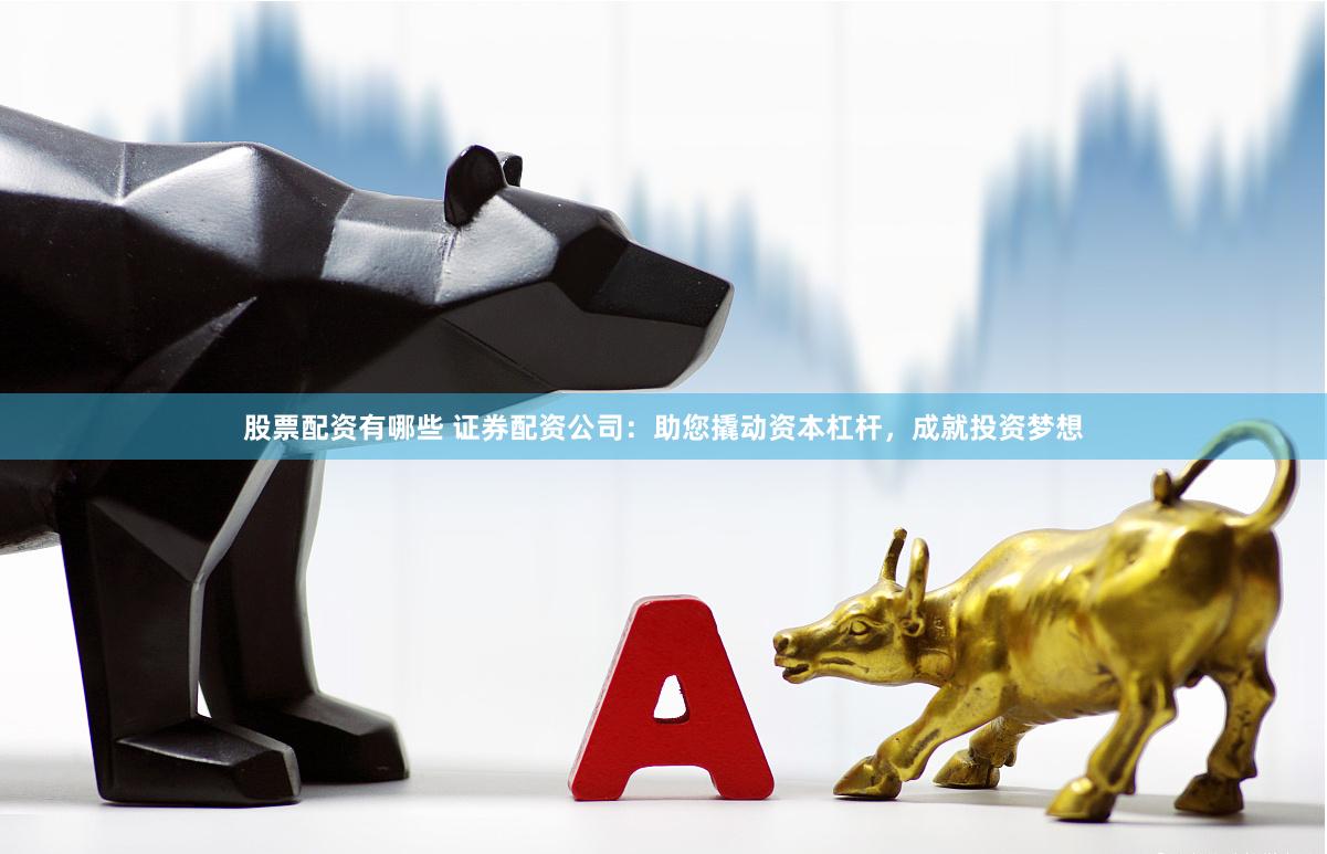股票配资有哪些 证券配资公司：助您撬动资本杠杆，成就投资梦想